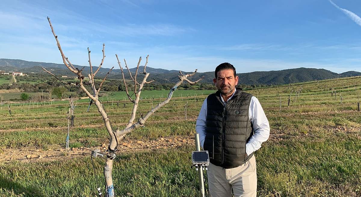 📰 Entrevista a Adolfo Peña, director de la #CátedraDATAGRI 🗣️ 'La tecnología tiene que hablar en el lenguaje de los agricultores'. Léela completa en @elEconomistaes 👉 eleconomista.es/tecnologia/not… ¡Muchas gracias a @RafaelDaniel9 y #ElEconomistaAGRO por la entrevista! 👏