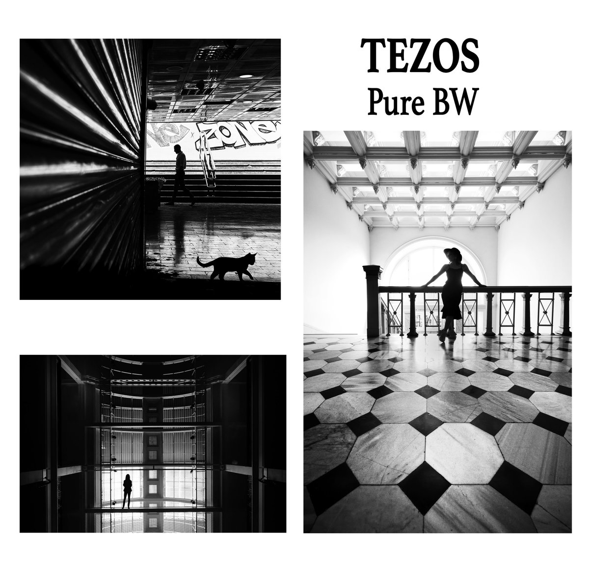 GM 😍

Today is #TEZOSTUESDAY 
I have some editions on tezos Pure Bnw 

objkt.com/collections/KT…