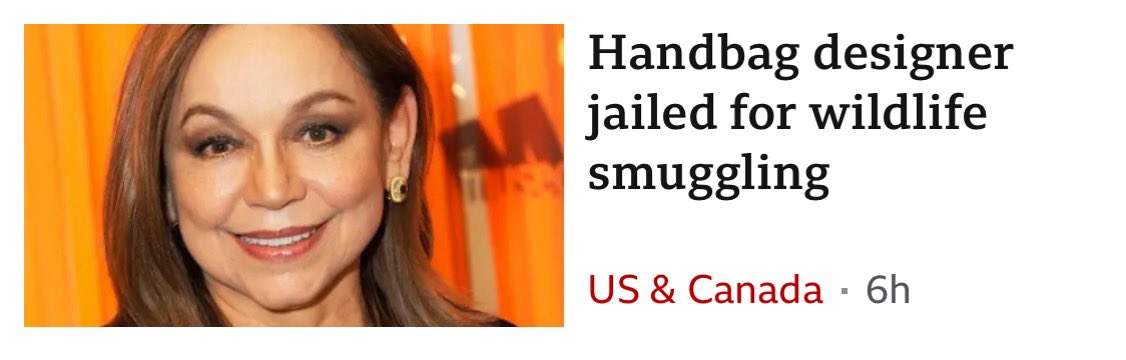 SockettJustin's tweet photo. How big are her handbags. https://t.co/TgcvL6HEGP