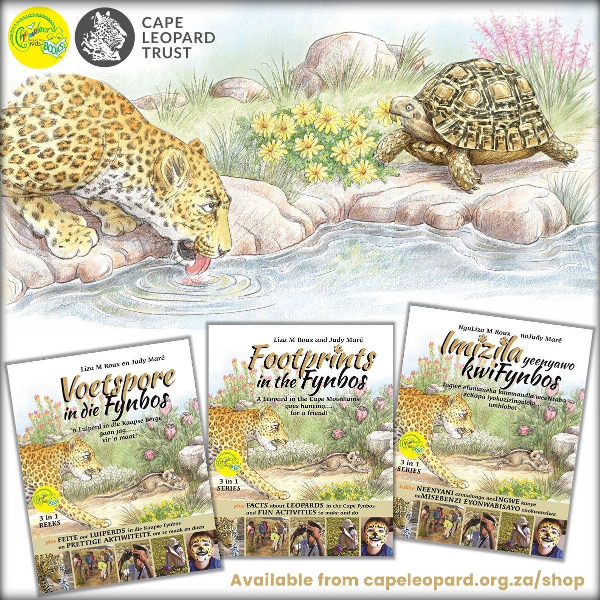 Today is #WorldBookDay ~celebrate by contributing to the @CapeLeopardTrst literacy project! Buy our conservation-themed children’s book, Footprints in the Fynbos - for every book sold we can gift one to an underserved child📚
Go to capeleopard.org.za/shop/merchandi… 
#WorldBookDay2024