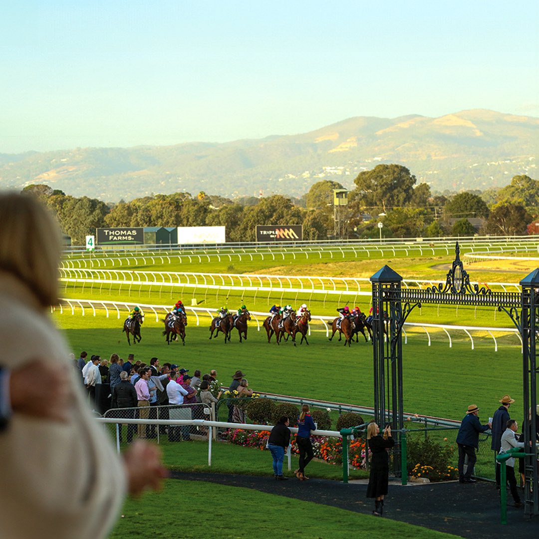 From the east to the west and now the south. This weekend marks the start of the 2024 Adelaide Racing Carnival at the iconic Morphettville racecourse (pictured). Following a sponsorship deal with @sportsbetcomau the Carnival now includes four $1M Group One races held over three