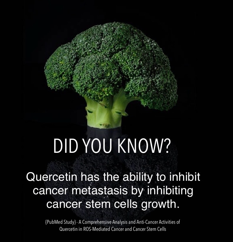 Did you know? 🤓 QUERCETIN #lipolife #Liposomes #Liposomal #LiposomalProducts #LiposomeTechnology #Vitamins #Health #Beauty #Fitness #Wellbeing #UK #SouthAfrica #lipolifespotlight #Quercetin #Cancer #ImmuneSystem #PubMed