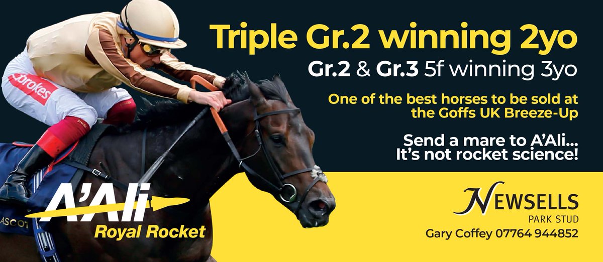 ⬛️🟨 @newsellspark's A'ALI 🟨⬛️ 🏆 Triple Gr.2 winning 2YO, Gr.2 & Gr.3 5f winning 3YO One of the best horses to be sold at the @GoffsUK Breeze Up Sale ‼️ Send a mare to A'ALI... It's not rocket science ⬇️ newsells-park.com/stallions/aali/ #ReadAllAboutIt