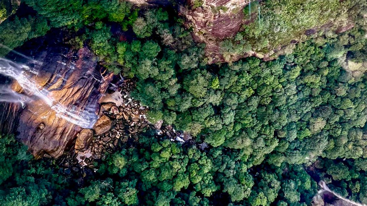 Dive into the heart of the Blue Mountains where cascading waterfalls carve through ancient rock, and the lush rainforest whispers secrets of the wilderness. Pure, untamed beauty. #BlueMountains #Waterfall #NaturalWonder #ExploreAustralia 💧🌿🇦🇺