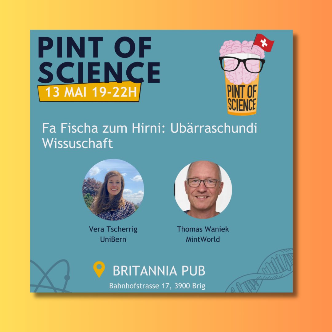 🐠🧠 Fa Fischa zum Hirni: Ubärraschundi Wissuschaft

📆 13. Mai, ab 19:00 Uhr – der erste von drei fesselnden Abenden! 
📍 Britannia Pub, Brig

🍺 Abend auf Walliserdeutsch! Eintritt frei – sichert eure Plätze via Anmeldung auf unserer Website: shorturl.at/gjtvL

#pint24