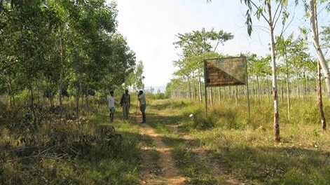 Join us this Friday as @ForrestFleisch1 discusses Restoration Social Science: Understanding how and why people restore landscapes, and what the impacts of restoration are on human well being. in person and online: oxfordbiodiversitynetwork.bookwhen.com