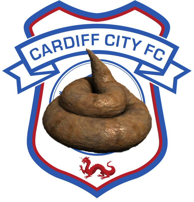Bon, on l'organise ce Raid contre CardiffCity ? 🤔