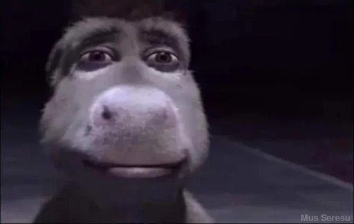 bubblebbuddy's tweet image. anjir dua tahun gak buka studytwt