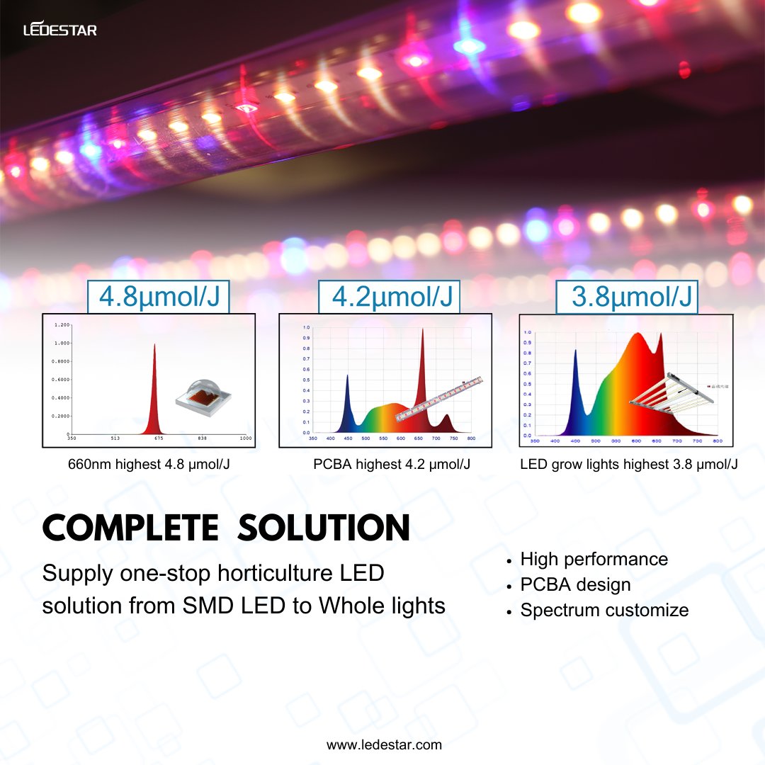 Improve your LED grow light with Ledestar high end horticulture-LED.
𝙒𝙝𝙮 𝙘𝙝𝙤𝙤𝙨𝙚 𝙇𝙀𝘿𝙀𝙎𝙏𝘼𝙍
🌱High performance
🌱Short leading time
🌱Customize solution
🌱....
Let's grow together!
#Ledestar #SMDLED #LEDgrow #LEDsolution #horticulture #ledgrowlight #verticalfarming