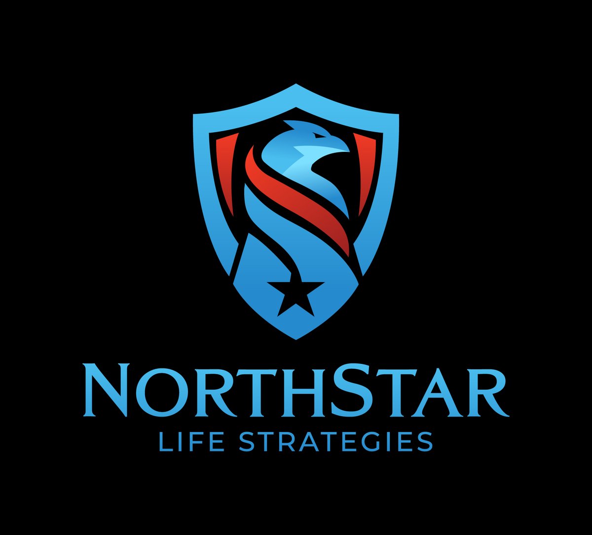#NorthStar Logo design for new client.
I hope everyone like it. 

More Portfolio: cutt.ly/Dnts67g 

If anyone need #Logo design please contact me:
info@shabanakhatun.com

Thanks

#north #star #Security #SECURE2024 #life #strategies #Logo #LogoDesign #branding #Identity