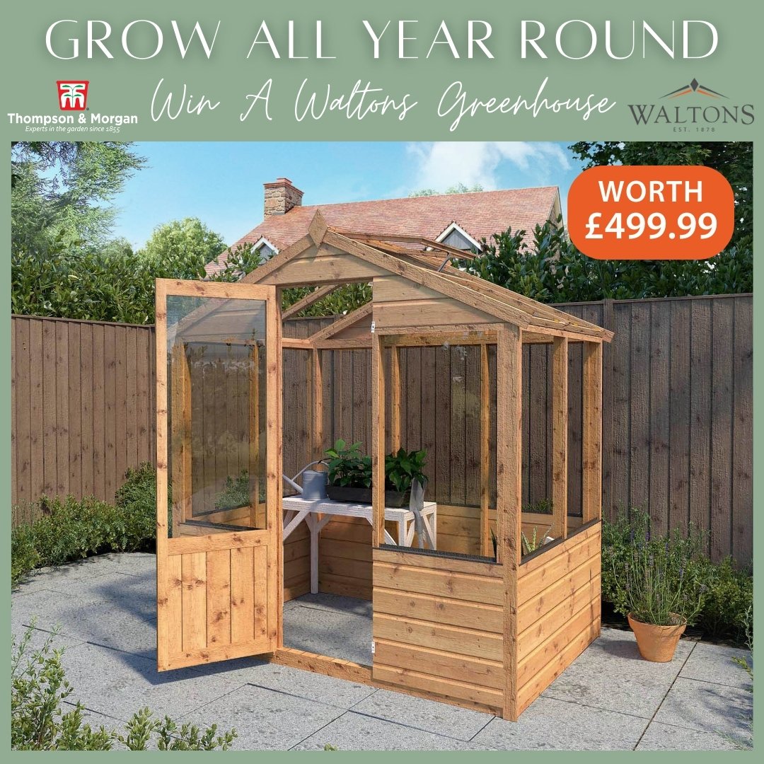 #WIN a gorgeous wooden greenhouse worth £499.99 in our new #competition🌱

blog.thompson-morgan.com/win-waltons-gr…

We’ve teamed up with @Waltonsgarden to give away a high-quality wooden greenhouse.

Perfect for raising seedlings and growing heat-loving plants.🌶️🍅

Enter today! Closes 15th May.