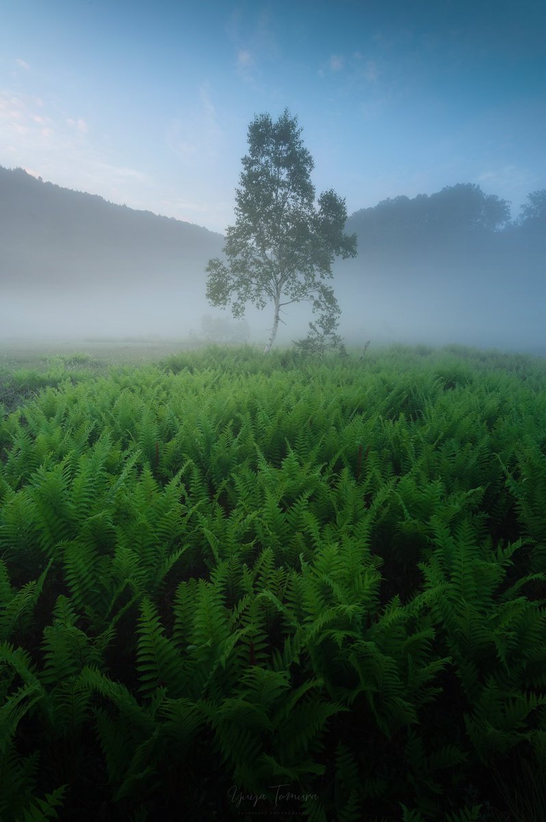 これからも美しい景色が見れますように🌱
#EarthDay
#地球の日