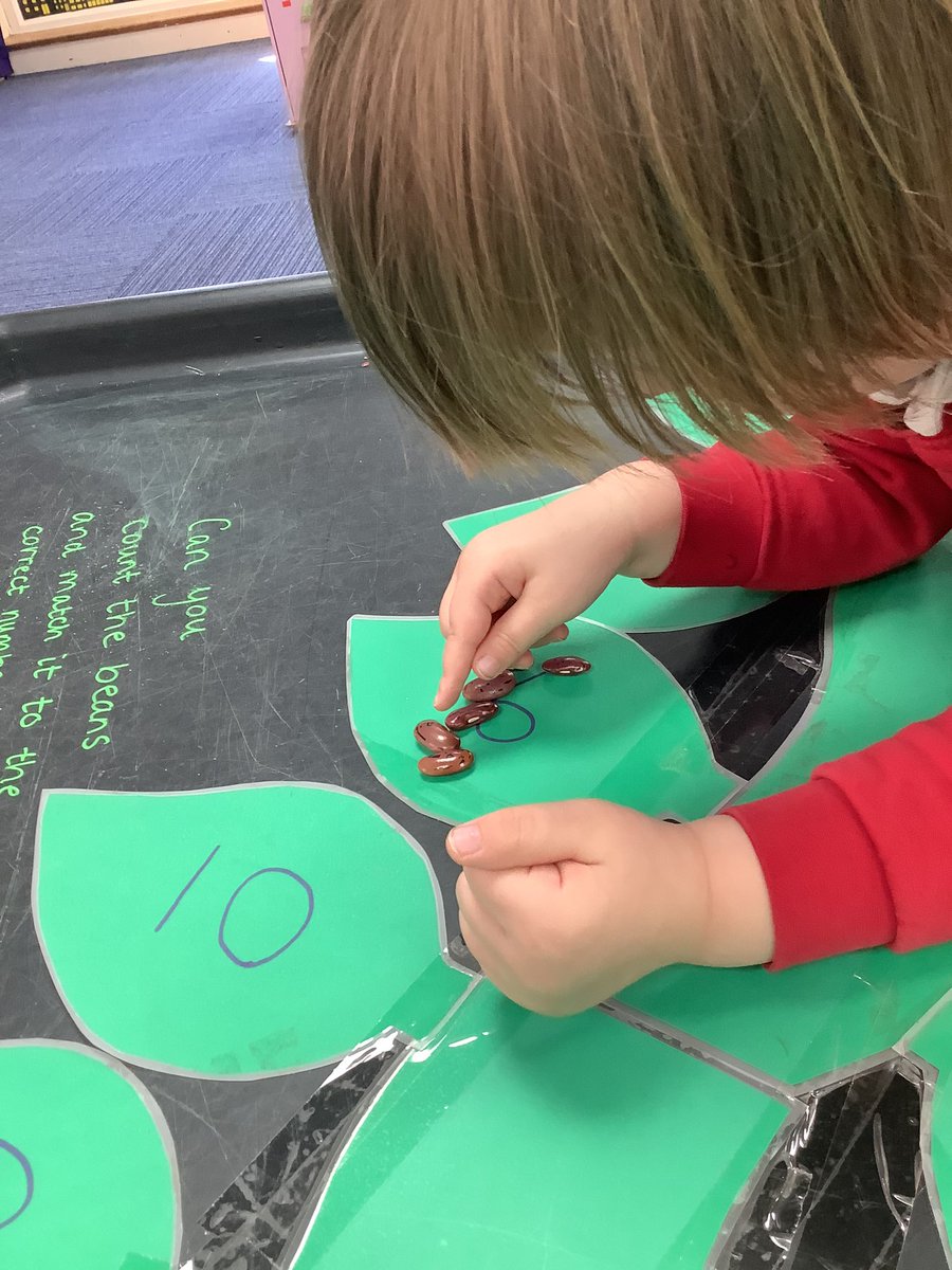 We have been counting and matching the corresponding number of beans to the correct leaf! We are super at counting ! #EYFS #MagicMaths