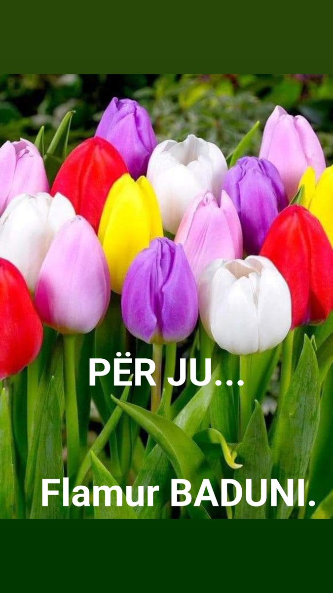 FLAMUR BADUNI (@flamurbaduni1) on Twitter photo 