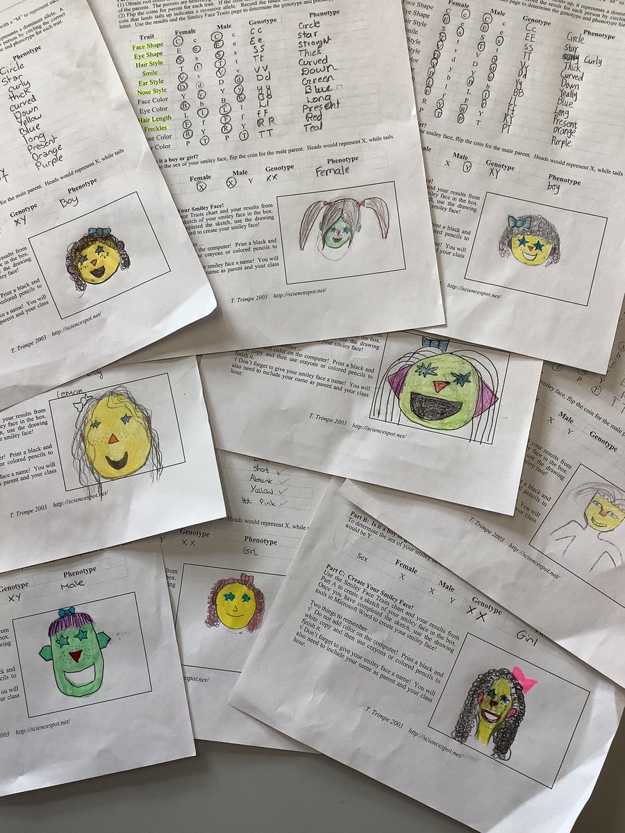 Genetics with a Smile” a simple investigation from sciencespot.net. The result; a variety of smiley faces from our 1st years @stpaulsg 🧬🥼🧬