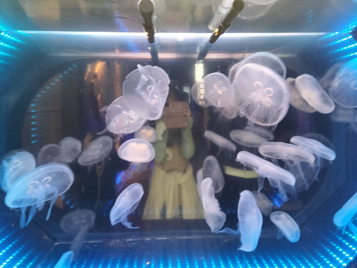 沼津港深海水族館に行ったよー！！この前の投稿はタグついてないから消しちゃった！めっちゃお土産買った！𐤔