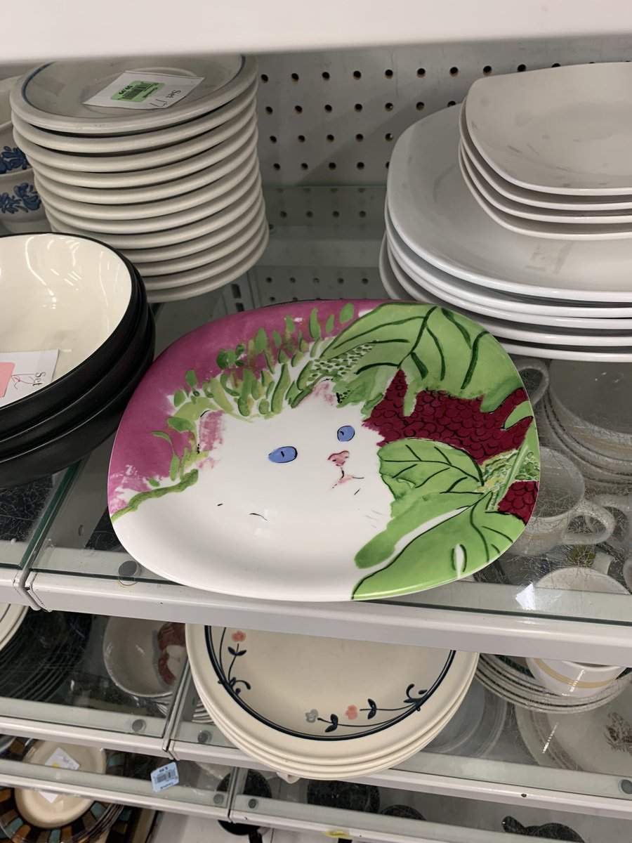 ✨Good Morning Gem Hunters look at this adorable cat plate! 😻🍽️💎

#Thriftinginspiration #Thriftfind #Gem #Thriftgem #thrifty #TREASURE #cat #thrift #iSpy #thrifted #secondhand #Gemz #Thrifthunting #plate #Thrifting #HappyThrifting #collectibles #Goodwill #catdecor #catlovers