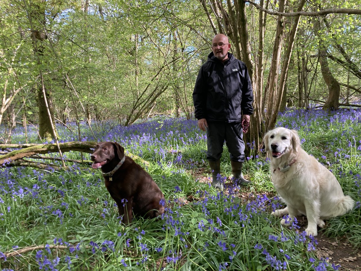 Out enjoying the beautiful bluebells with my uncle and cousin Dora.