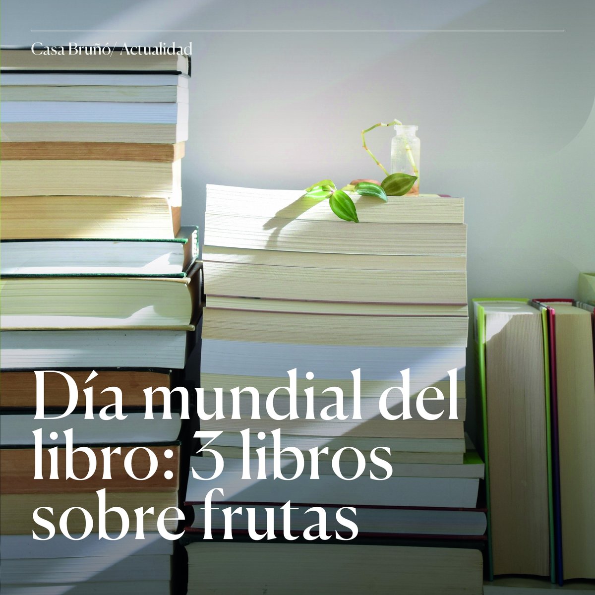 Como cada 23 de abril, celebramos el día internacional del libro recomendándote 3 libros muy especiales sobre frutas. Descúbrelos en nuestro artículo de #CasaBruñó.

frutasbruno.com/dia-internacio…