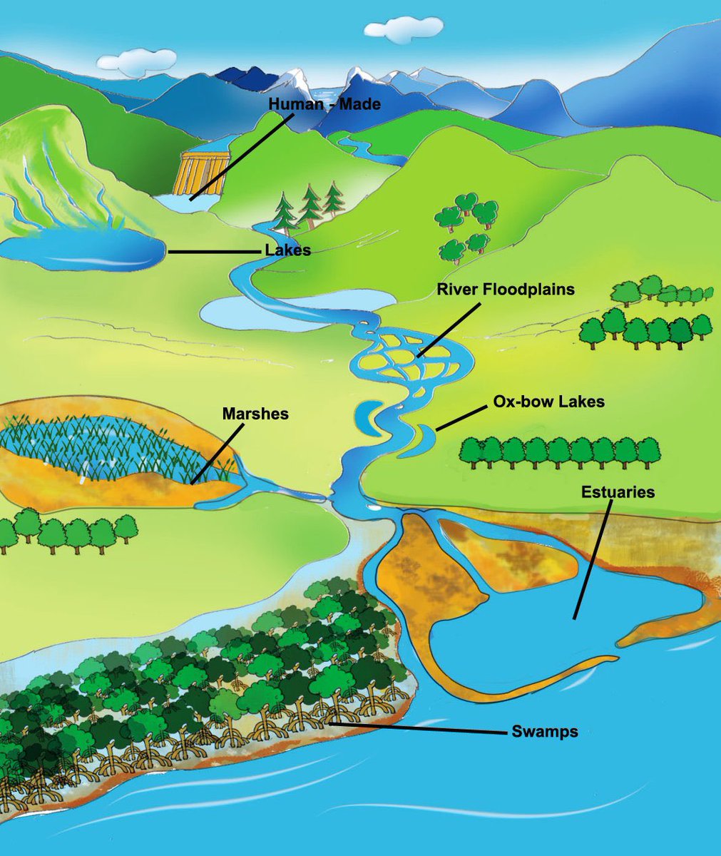 Interesting image that will help you in visualising different types of topographic landforms.

Lakes,
Marshes,
Estuaries,
Swamps

The basic difference between them will help you to mark correct answer in mcqs.