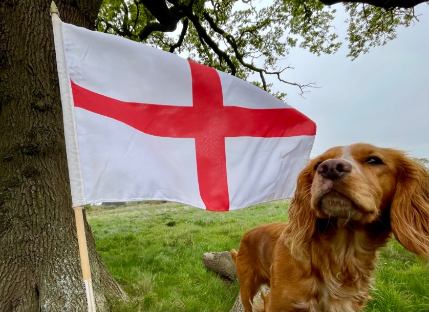 #StGeorgesDay Not bad considering I was holding the flag, holding my phone and trying to keep Betty still! Have a great day #loveukweather @metoffice @ChrisPage90 @danholley_