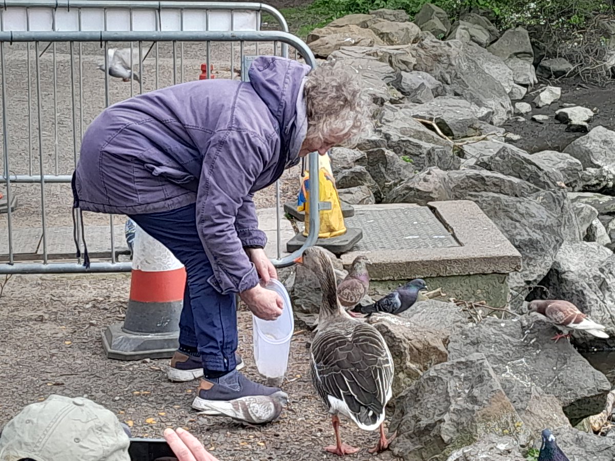 Spring sessions with the lovely Nelly @greenspacetrust are well underway identifying and feeding the water birds around St Margarets Loch. If you would like to join for us for our next session please contact Cat on 07510 521759 for some nature therapy and conservation work