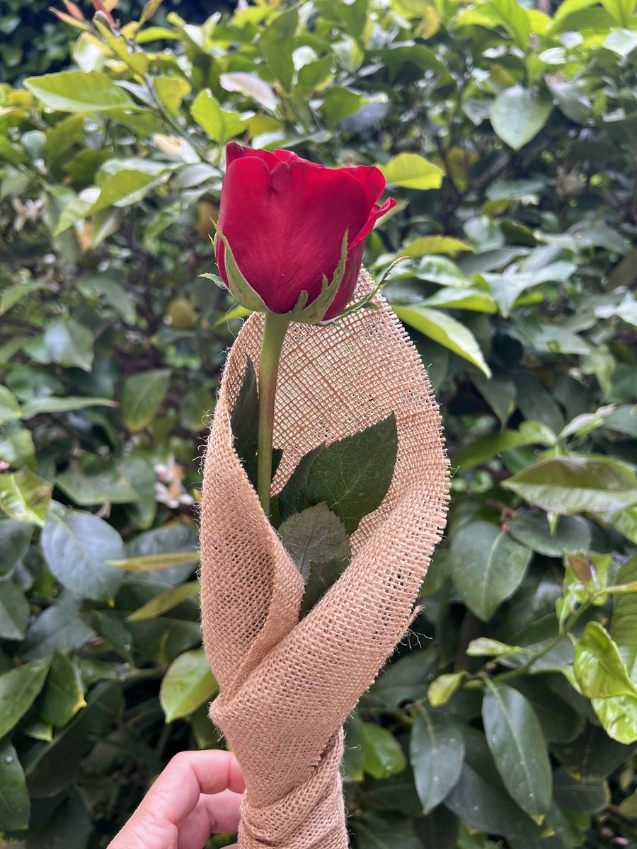 Feliç Sant Jordi a tothom. ❤️📚🌹🐉