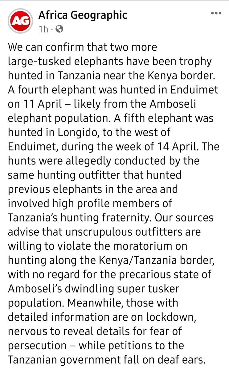 Two more #elephants trophy #hunted in #Tanzania near the Kenyan border - threatening #Amboseli's dwindling tusker population. #IAmNotYourTrophy
#SaveTheAmboseliElephants 
#BanTrophyHuntingImports!
#EndangeredSpecies