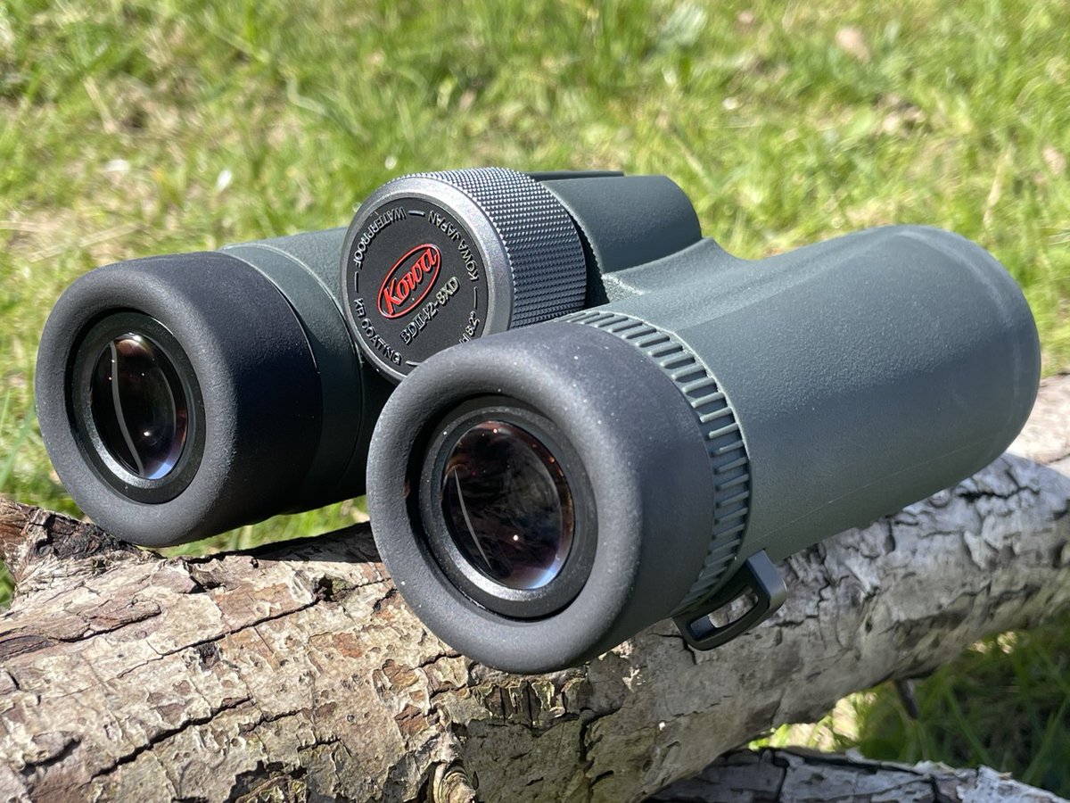 Latest review: Read Alex's thoughts on the @KowaOptics BDII-XD 8x42 wide angle binoculars and why he thinks they exemplify excellence in optical performance... Full review 👉 bird-watchers.com/birdwatching-g…