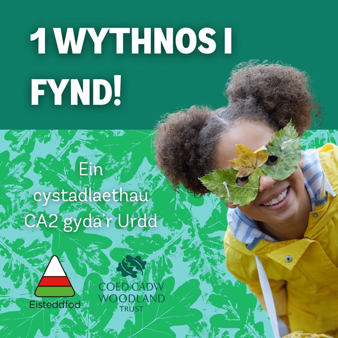 Yn ystod Wythnos Dysgu yn yr Awyr Agored Cymru rydyn ni ac @EisteddfodUrdd yn annog plant CA2 i fod yn greadigol gyda choed ar gyfer ein cystadleuaeth 🌳 Wythnos sydd ar ôl i anfon cais, felly ewch amdani! 🏆 Manylion: urdd.cymru/cy/eisteddfod/…