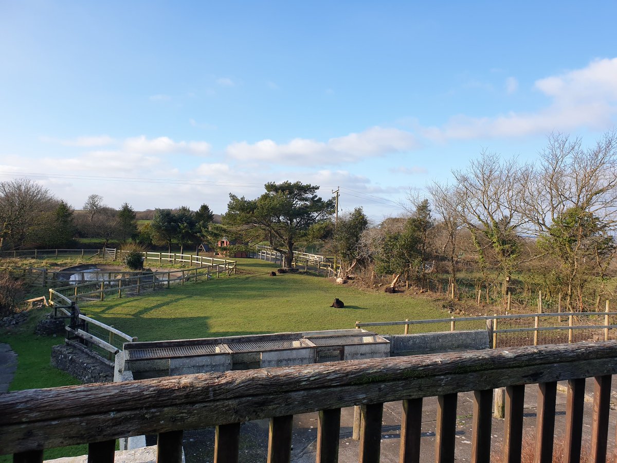 We just love this view from the balcony of self-catering cottage The Dairy. A great spot to watch the summer sun go down too. Come and stay with us to see it for yourself!
For all booking information see link in bio. 

#ClyneFarmCentre #FamilyRunBusiness #BookDirect #Swansea