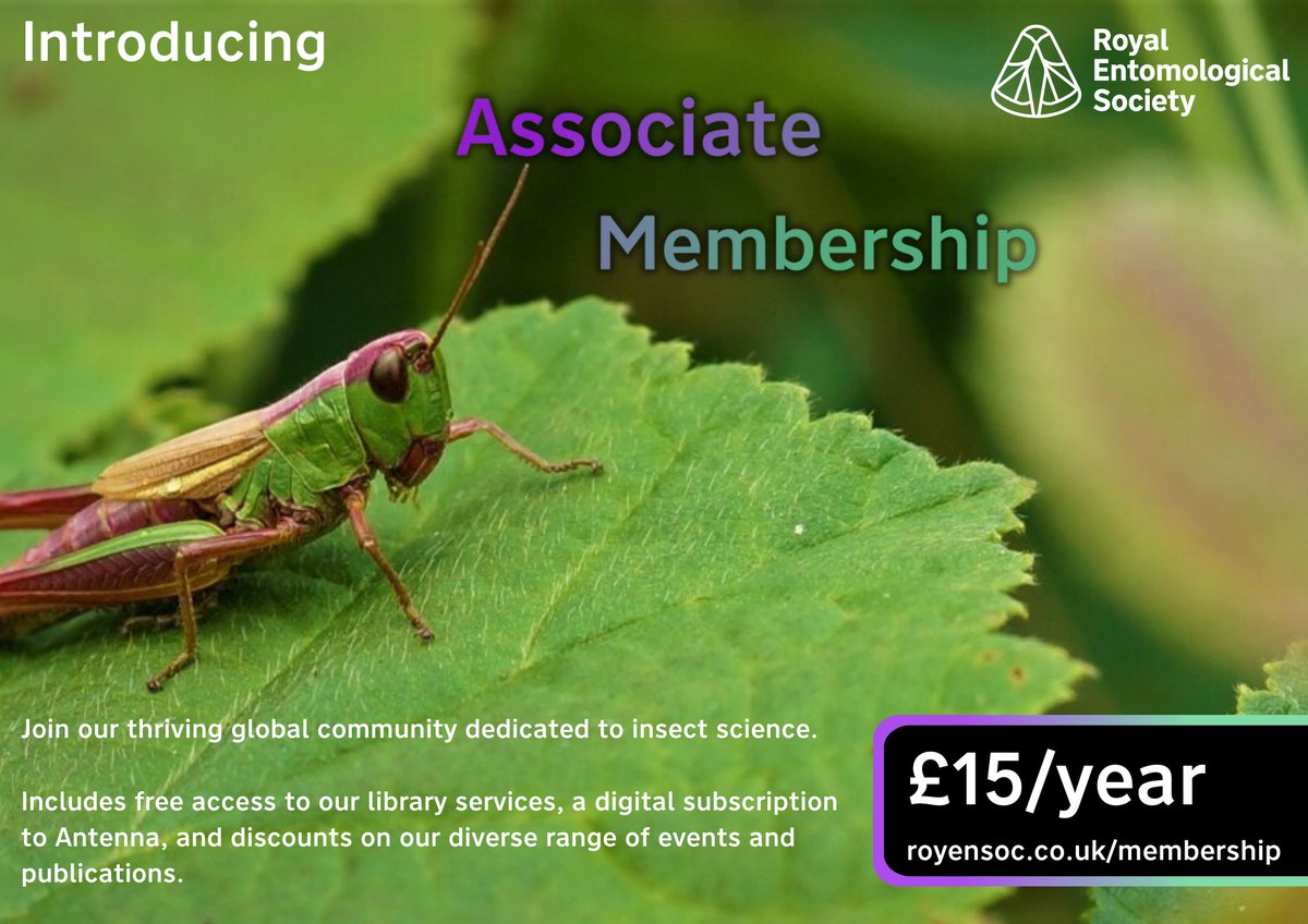 Connect with others interested & working in #entomology with our new, cost-effective #membership plan. #AssociateMembership includes: 🐝 Free access to our #library services 🪲 Digital subscription to Antenna 🦋 Discounts on #events & #publications Join: royensoc.co.uk/membership