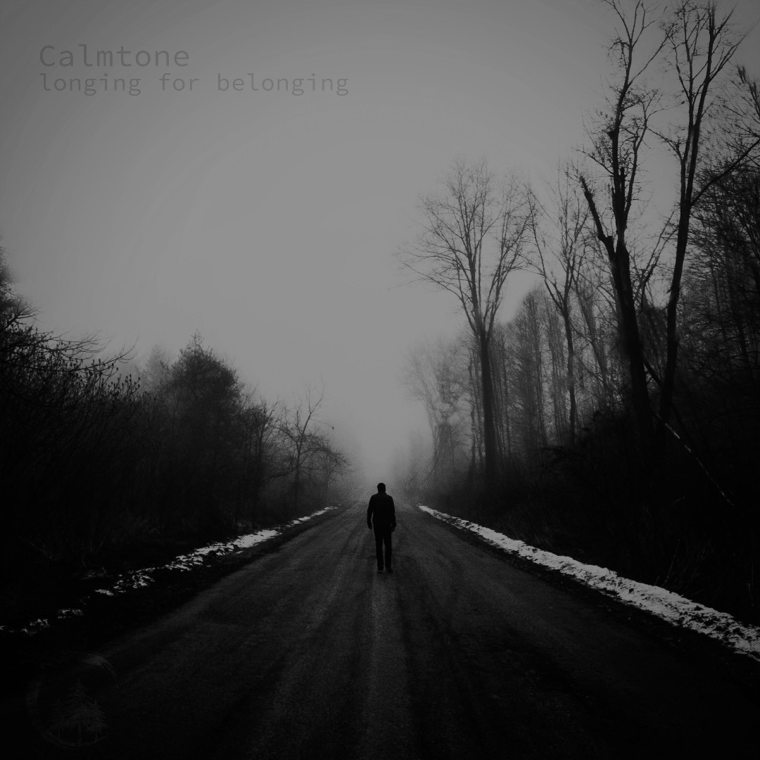 Re-cap 🔄 Calmtone - Longing for Belonging Find it here ⤵️ song.link/Longingforbelo… @ValleyVRecords #ambient #valleyviewrecords