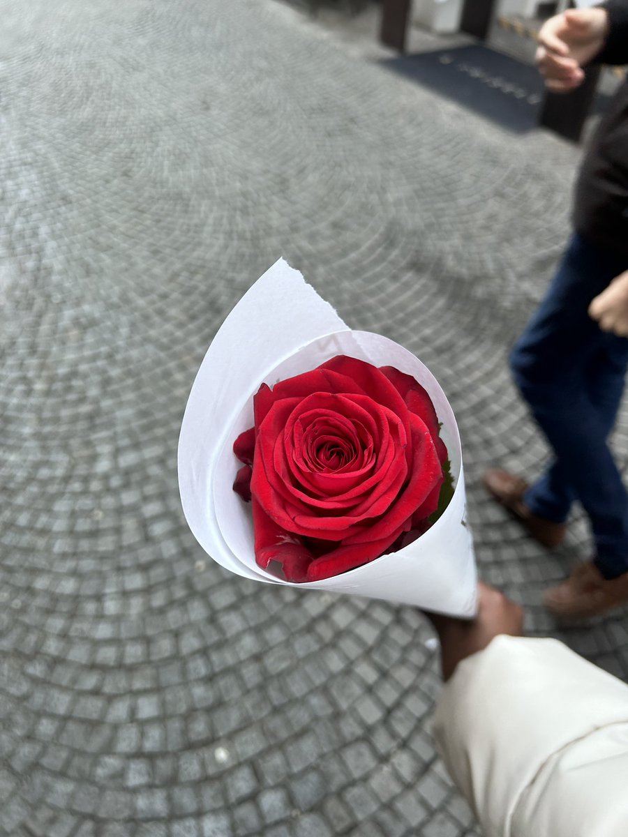 CandelasAbril's tweet photo. Merci🌹 https://t.co/2V1DJbyFbK