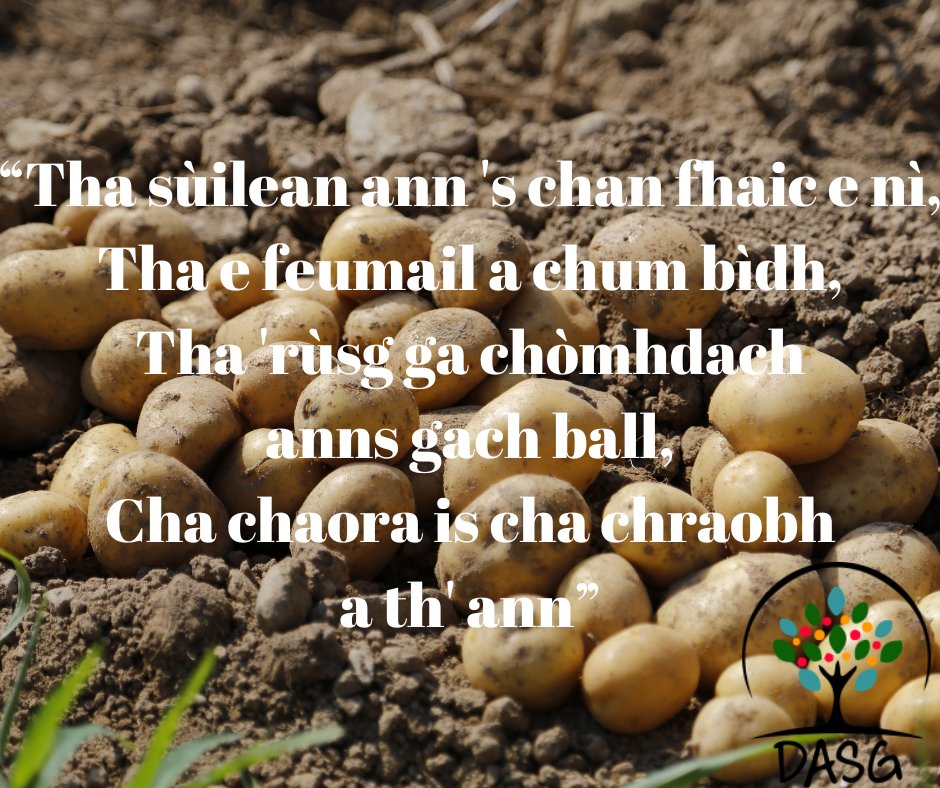 DASG_Glaschu's tweet photo. 👁️
"THA SÙILEAN ANN 'S CHAN FHAIC E NÌ,
THA E FEUMAIL A CHUM BÌDH,
THA #RÙSG GA CHÒMHDACH ANNS GACH BALL,
CHA CHAORA IS CHA CHRAOBH A TH' ANN"
🤔
#Riddle #Tòimhseachan #GaelicRiddle #Biadh #Buntàta
🥔
#Alba #Scotland
#Gàidhlig #ScottishGaelic
#DigitalArchiveofScottishGaelic #DASG https://t.co/S4phNXQ61L