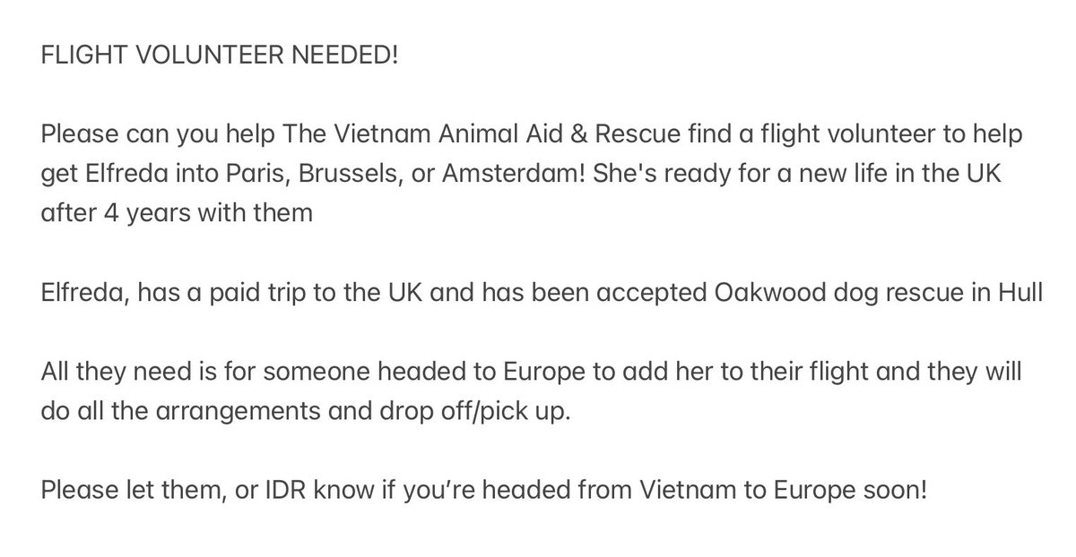 FLIGHT VOLUNTEER NEEDED! Can you help The Vietnam Animal Aid & Rescue find a flight volunteer to help get Elfreda into Paris, Brussels, or Amsterdam instagram.com/vietnamanimala… All the details are in the photo image below. #TeamZay #rescuedogs #FlightVolunteer #Vietnam