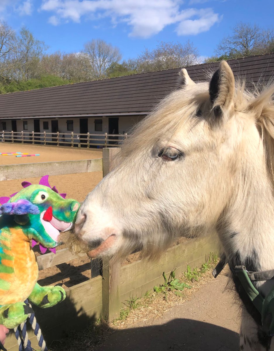 Our very own St George and his very friendly dragon. 🐉❤️🐴 Happy St Georges Day! ❤️