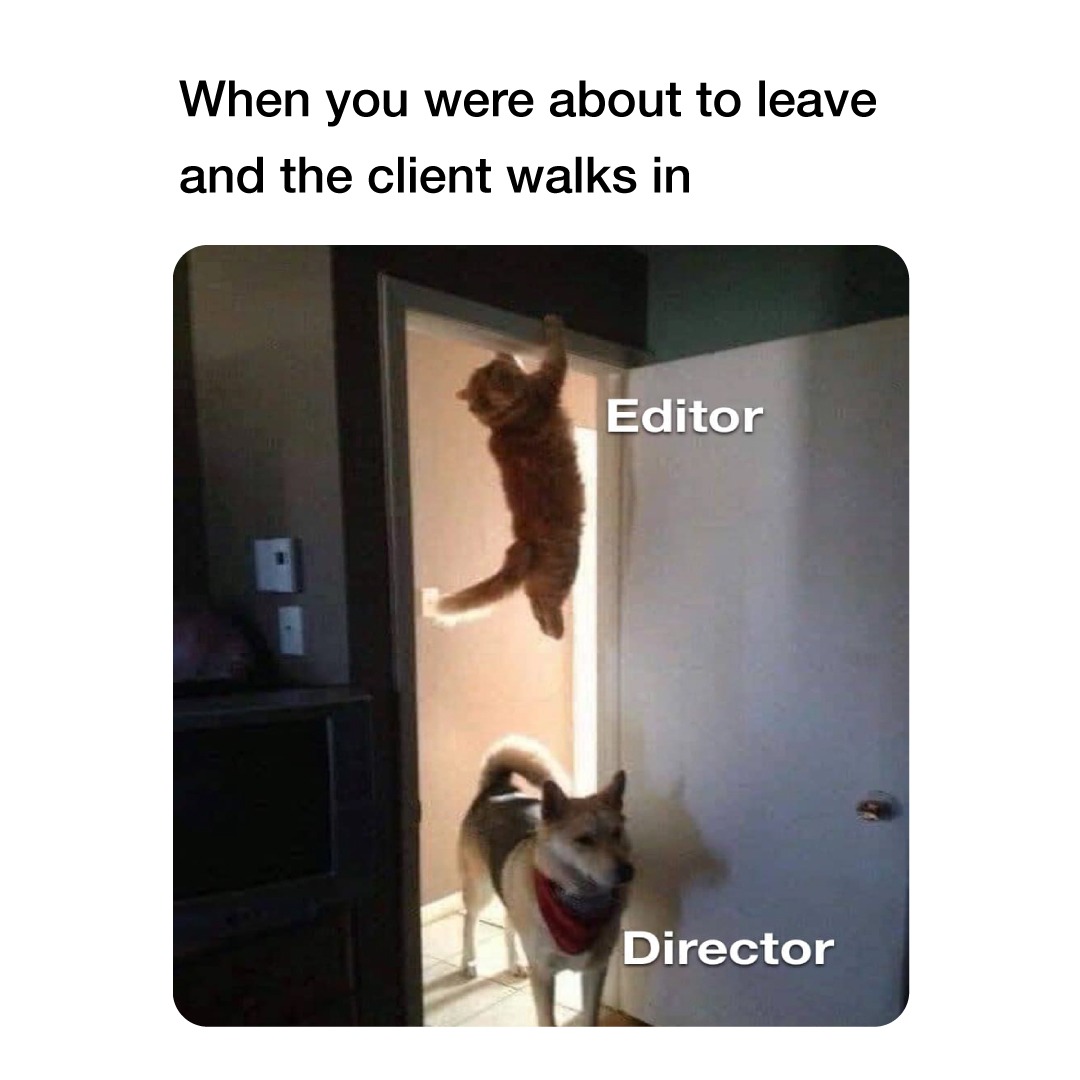 You will find me under my desk.

#businessmemes #accurateaf #financememes #relatable #work