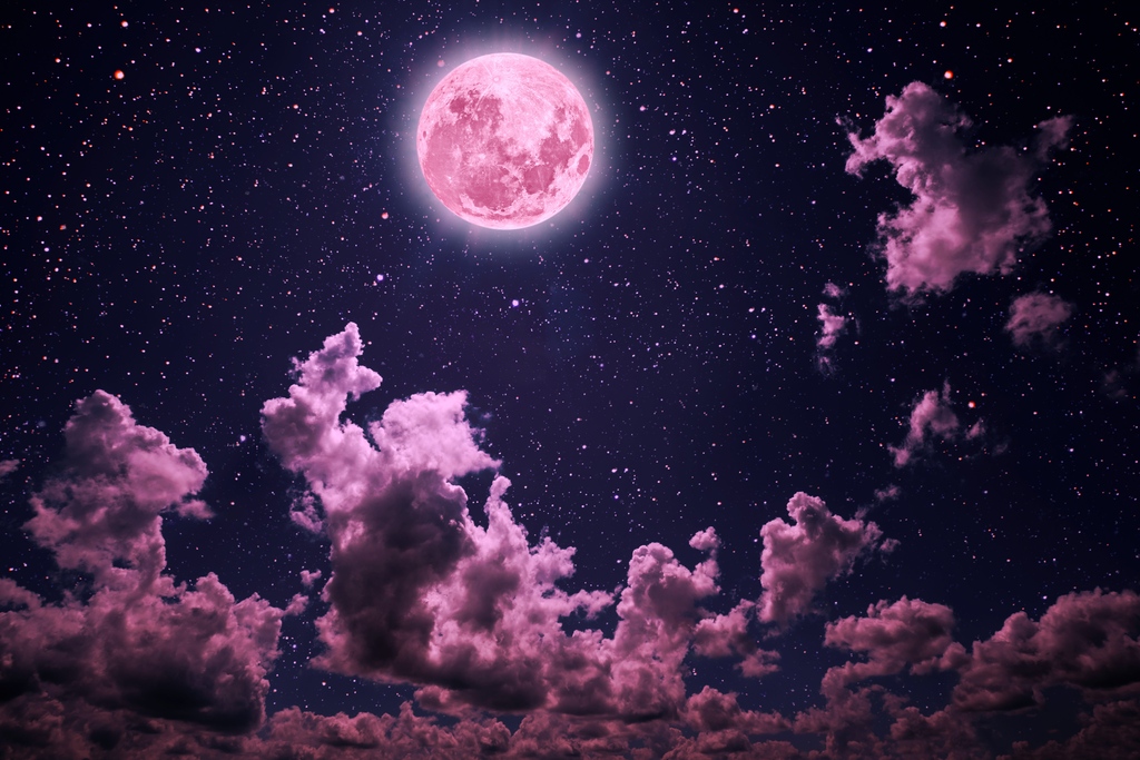 The Pink Moon embodies a profound connection between humanity and the cosmos. Its name, derived from the delicate pink hues that often adorn the sky during its rise, symbolises renewal, growth, and spiritual awakening. 

#pinkmoon #fullmoon #moon #aprilmoon