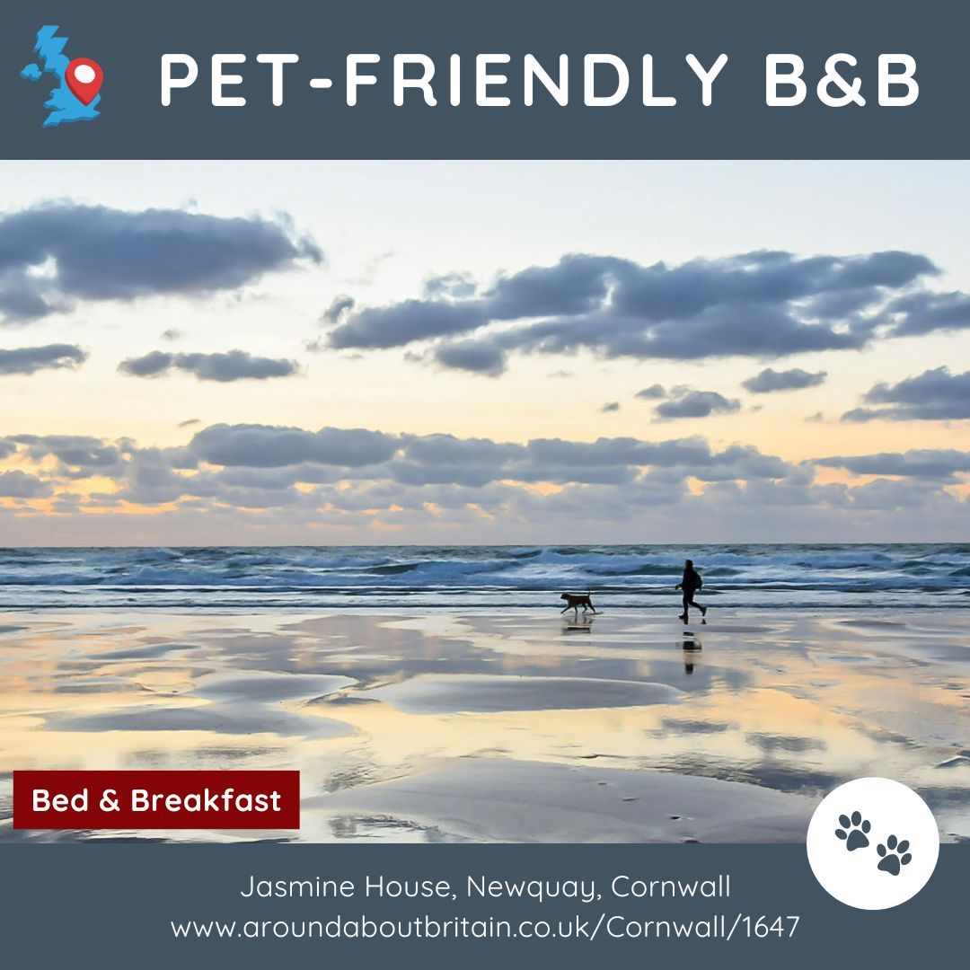 ⭐ Bed & Breakfast Cornwall ⭐ Experience coastal charm at Jasmine House in Newquay. Just a short walk from Lusty Glaze, Tolcarne and Porth Beach, it's an ideal base for exploring the local area. 🛏 Bed & Breakfast aroundaboutbritain.co.uk/Cornwall/1647 #Newquay #Cornwall #England #Holiday