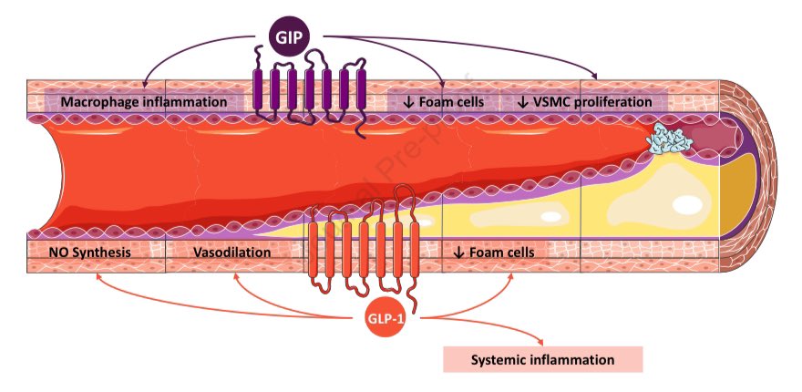 Pablo Corral MD tweet media