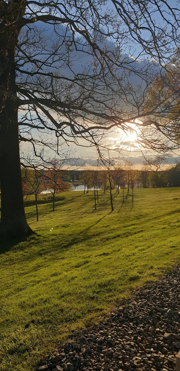 nlcpeople's tweet image. A lovely evening as the sun set in Strathclyde Park last night. Thanks to a resident who caught these amazing shots. #springwalks
#parklife #livehere