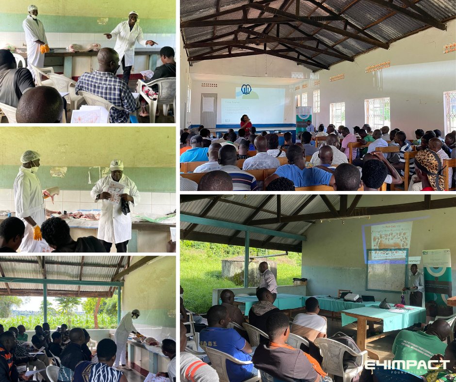 🐷 Exciting developments for Ugandan pig agripreneurs! 👉🏽 In these days we’ve held new trainings in Masaka e Mukono Districts within the “Business incubation/acceleration of pig agripreneurs in Uganda” project. 🔗 e4impact.org/.../business-i…