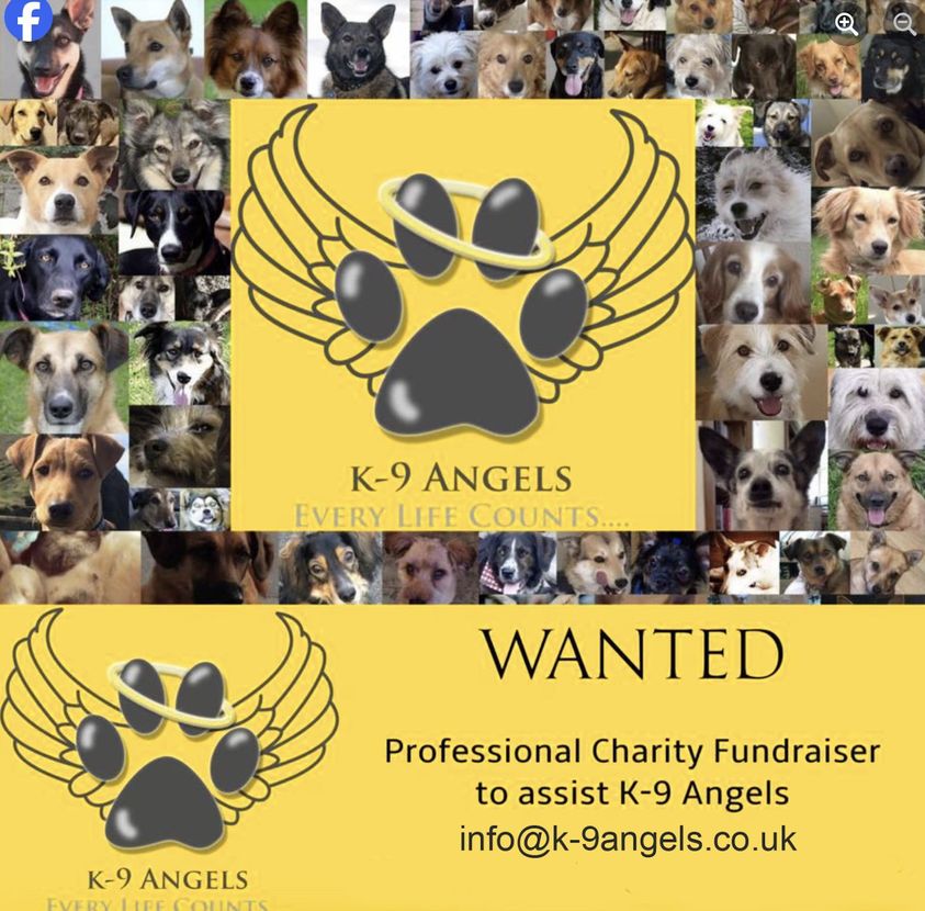 We are looking for dedicated dog loving person to join our passionate team! Get in touch if you have got what it takes :-D Please RT #DogRescue #DogCharity