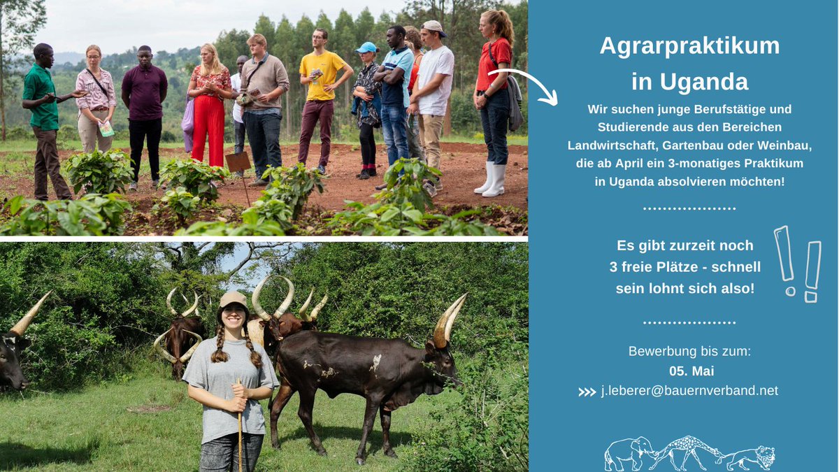 SchorlemerS's tweet photo. #lastchance: Es gibt noch 3 freie Plätze für unser Austauschprogramm mit Uganda. Schnell sein lohnt sich! Alle Informationen rund um das Programm unter https://t.co/ANeJYnafuH. Das Projekt ist besonders attraktiv durch den kurzen Zeitraum und durch die finanzielle Förderung. https://t.co/ybljz4OQju