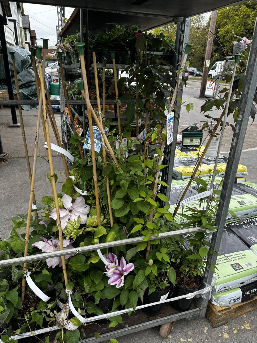 holburyhardware's tweet photo. We have a lovely variety of flowers and vegetables for your garden @holburyhardware #Summer #loveyourgarden #growyourown 🪴 🌸🌺🌷🌻🌼💐🌹🪻Bring on the Summer! ☀️☀️🤞😎🤞 https://t.co/6MtvjF9t18