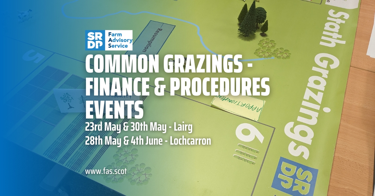 Join our upcoming events on finance & procedures for common grazings in Lairg and Lochcarron. We'll look at the responsibilities of committee members and different financial scenarios. Find out more: fas.scot/events/ @ScotCroftingFed @CroftingScot @ConsultingSAC