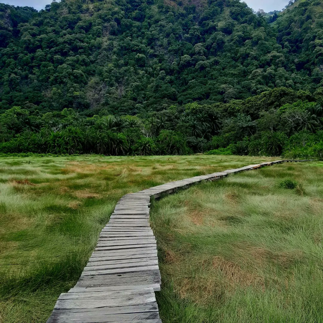 Did you know why Fortportal is the tourism city of Uganda? 
Fortportal is a destination brimming with attractions that beckon visitors to experience its natural wonders, located between three national parks of Kibale, Queen Elizabeth and Mt. Rwenzori. Boasting diverse wildlife.