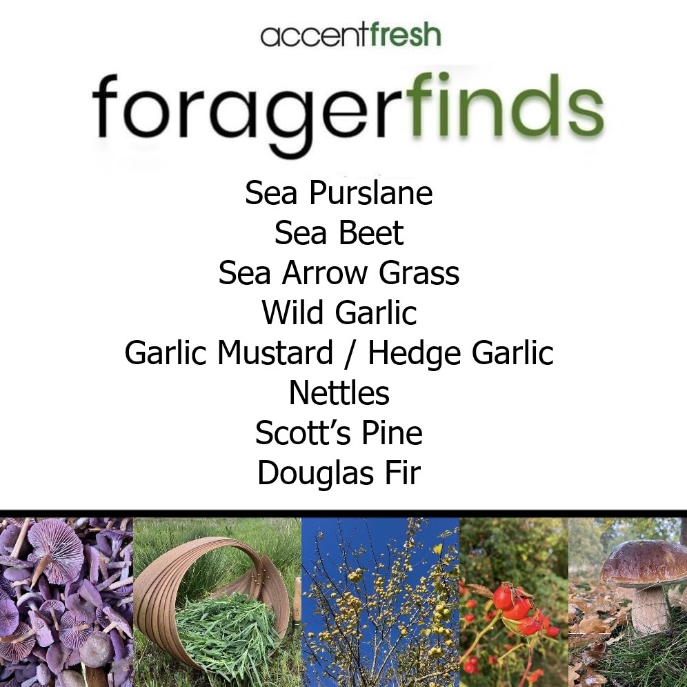 Forager finds this week... Orders to be placed by midday today for Friday delivery. Please call or email the office to place your order. #forager #foraging #foragedfood #wildgarlic #forage