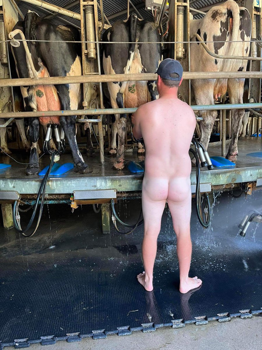 The_NakedFarmer's tweet photo. Good day in the office - does anyone else get to work and then remember they forgot to put their pants on? 🤦🏻‍♂️

#thenakedfarmer or personal message us for your chance to feature! 🌾🐮 https://t.co/ogQDmJGAFn